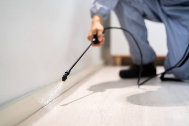 Licensed Pest Control service in Murfreesboro, NC - Show Me Pest Control