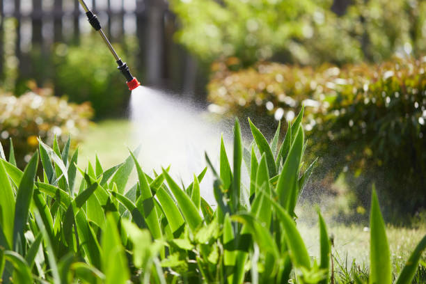 24/7 Emergency Mosquito Control experts in Murfreesboro, NC