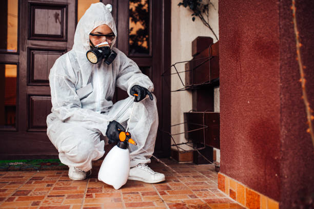 Reliable Mosquito Control contractor in Murfreesboro, NC by Show Me Pest Control