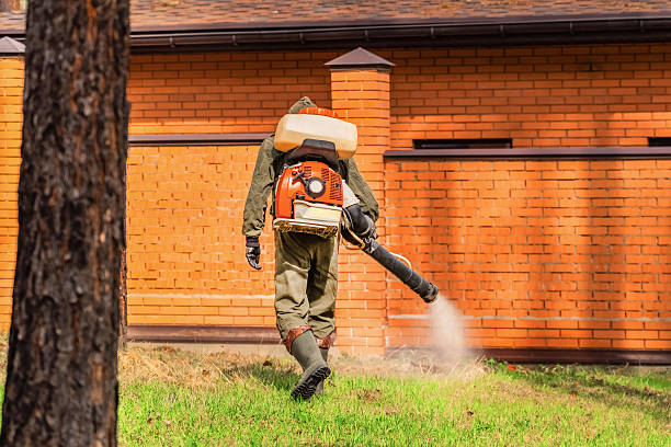Top rated local Mosquito Control specialists in Murfreesboro, NC